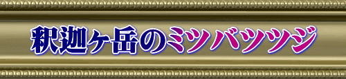 釈迦ヶ岳のミツバツツジ